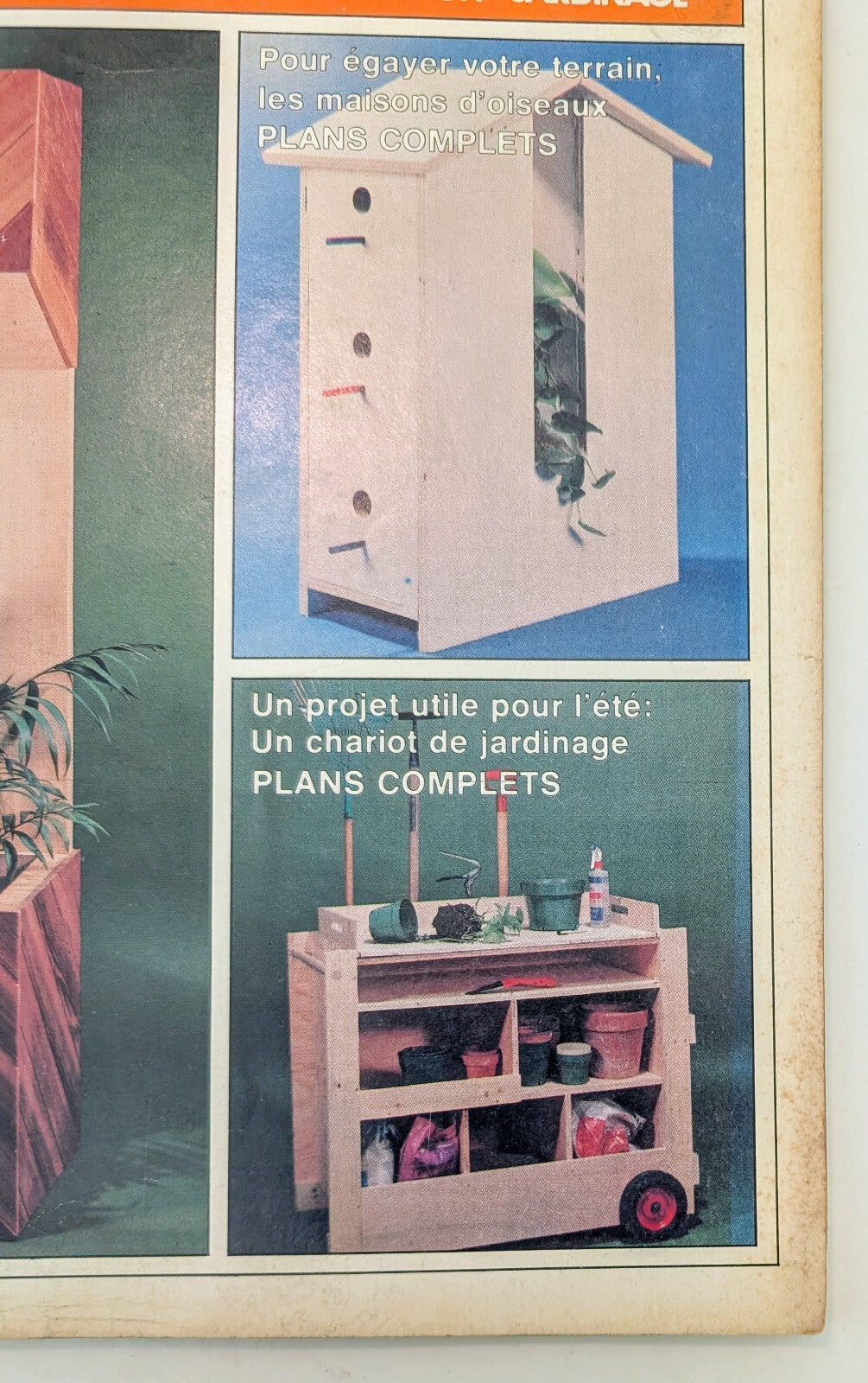 437519