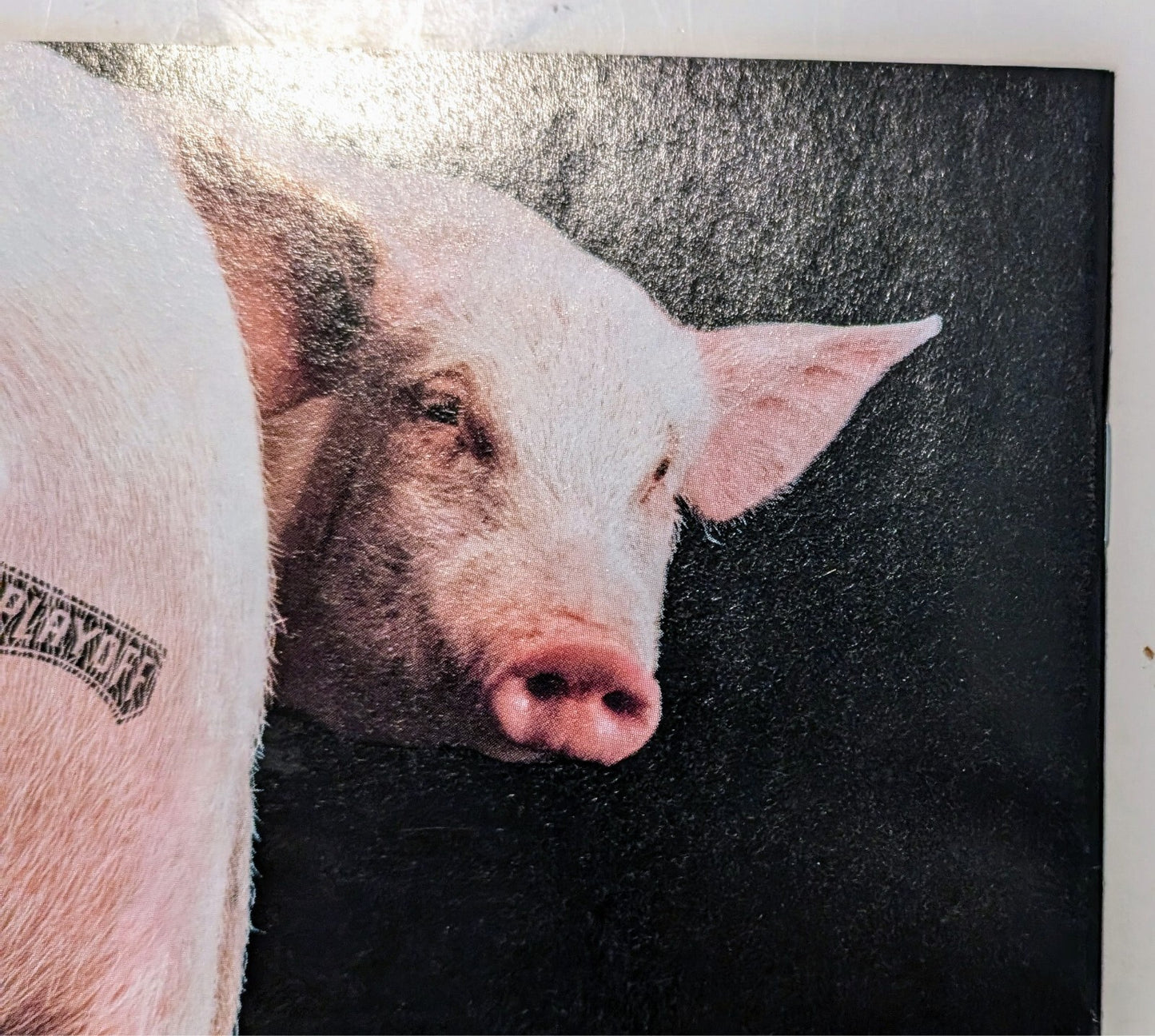 437193