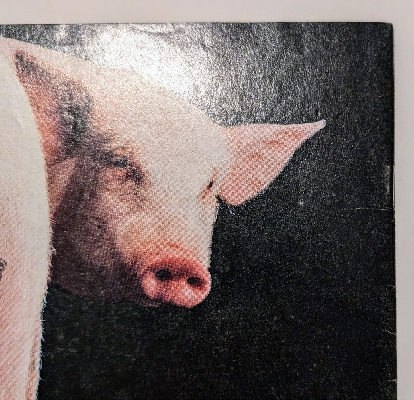 437523